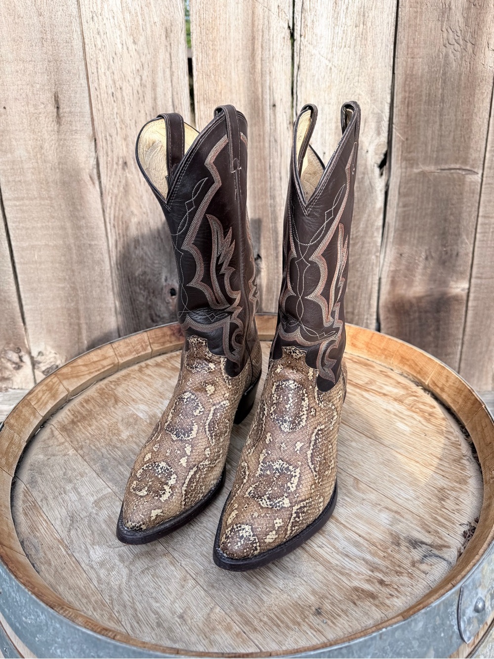 Justin size 10D Argentine boa